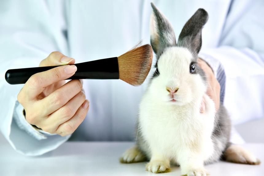 Welttag zur Abschaffung von Tierversuchen 2022: Tierversuche sind für Kosmetika Realität