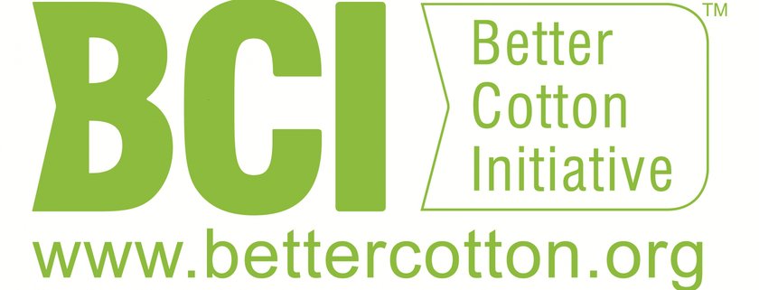 BCI_logo