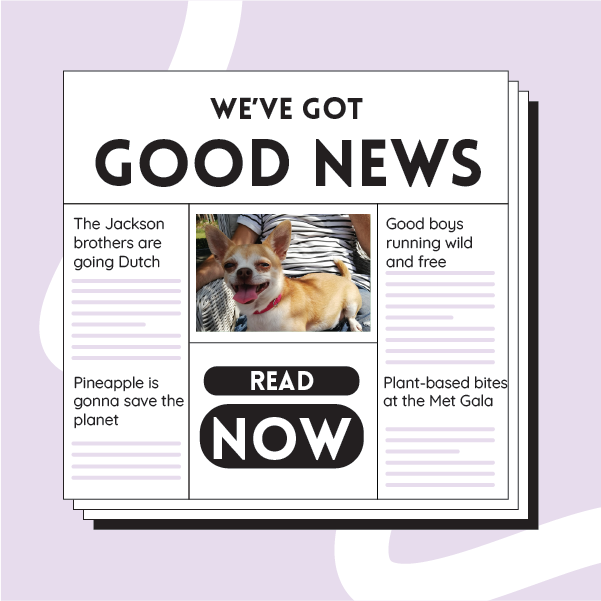 The Good News Letter #3