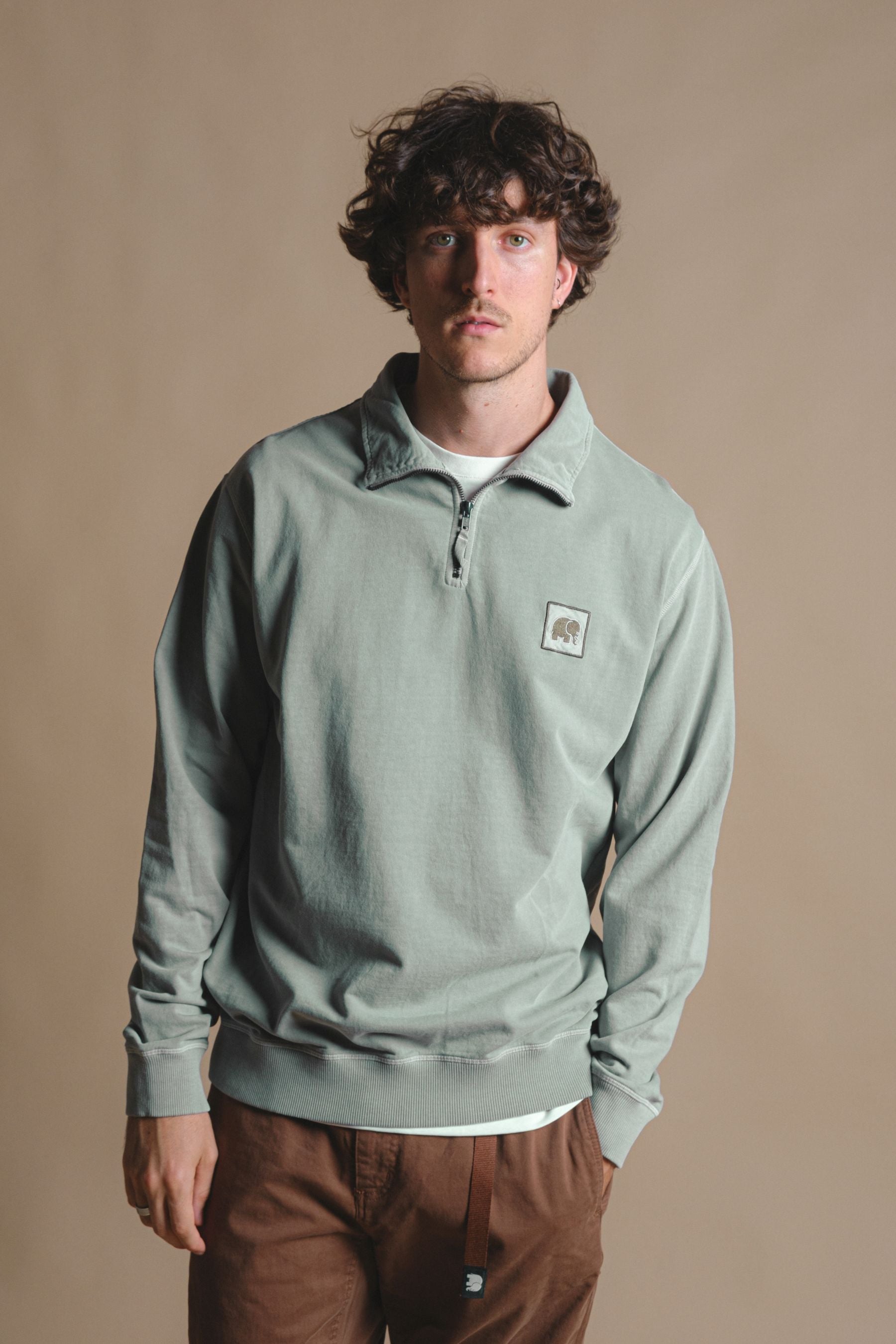 Image of Trendsplant mannen vegan Trui Kwart Rits Saus Pigment Zilver Groen