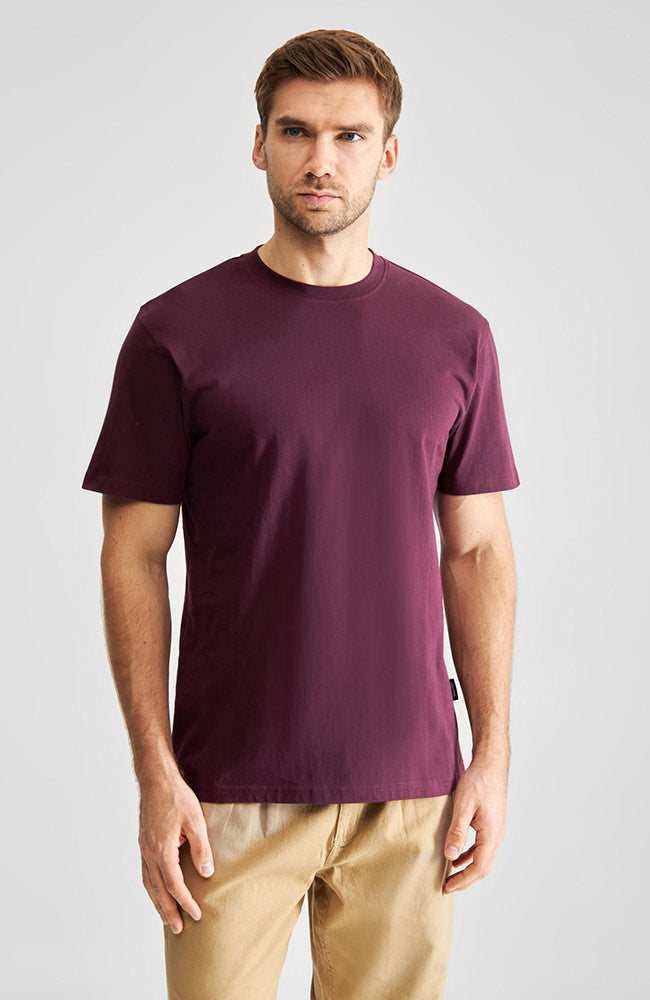 DEDICATED men vegan T-Shirt Stockholm Base Fig Red