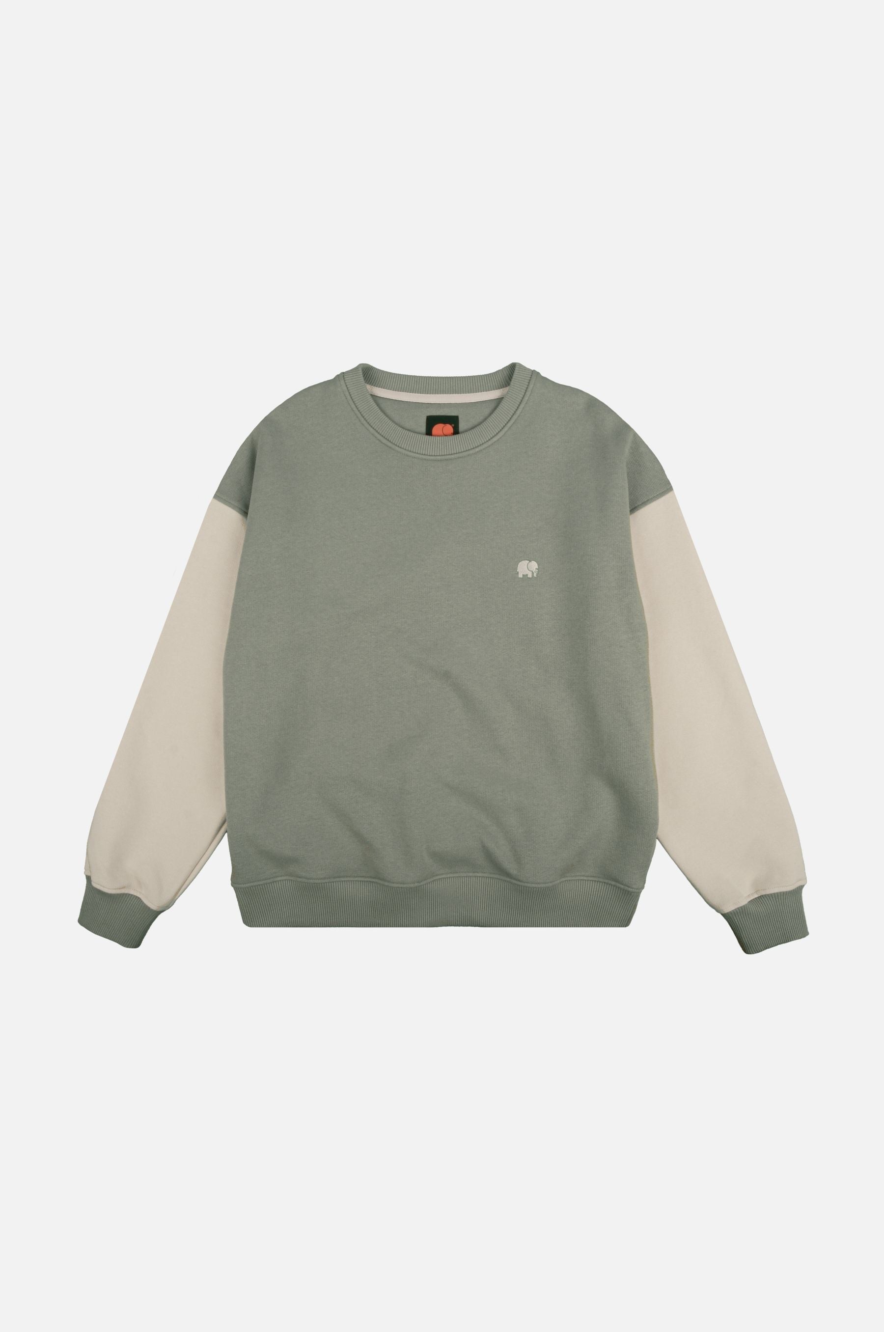 Image of Trendsplant dames vegan Trui Oversized Kleurblok Iron Veil