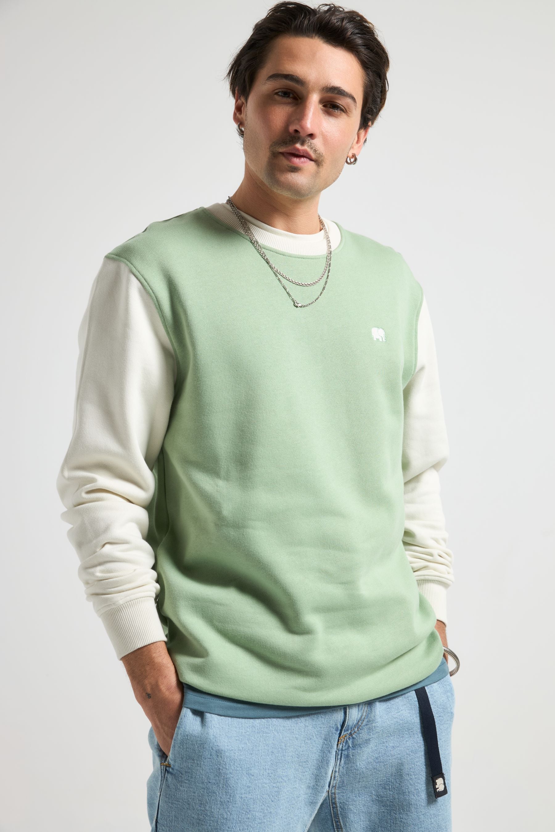 Image of Trendsplant mannen vegan Sweatshirt Met Kleurblokken In De Kleur Salted Moss