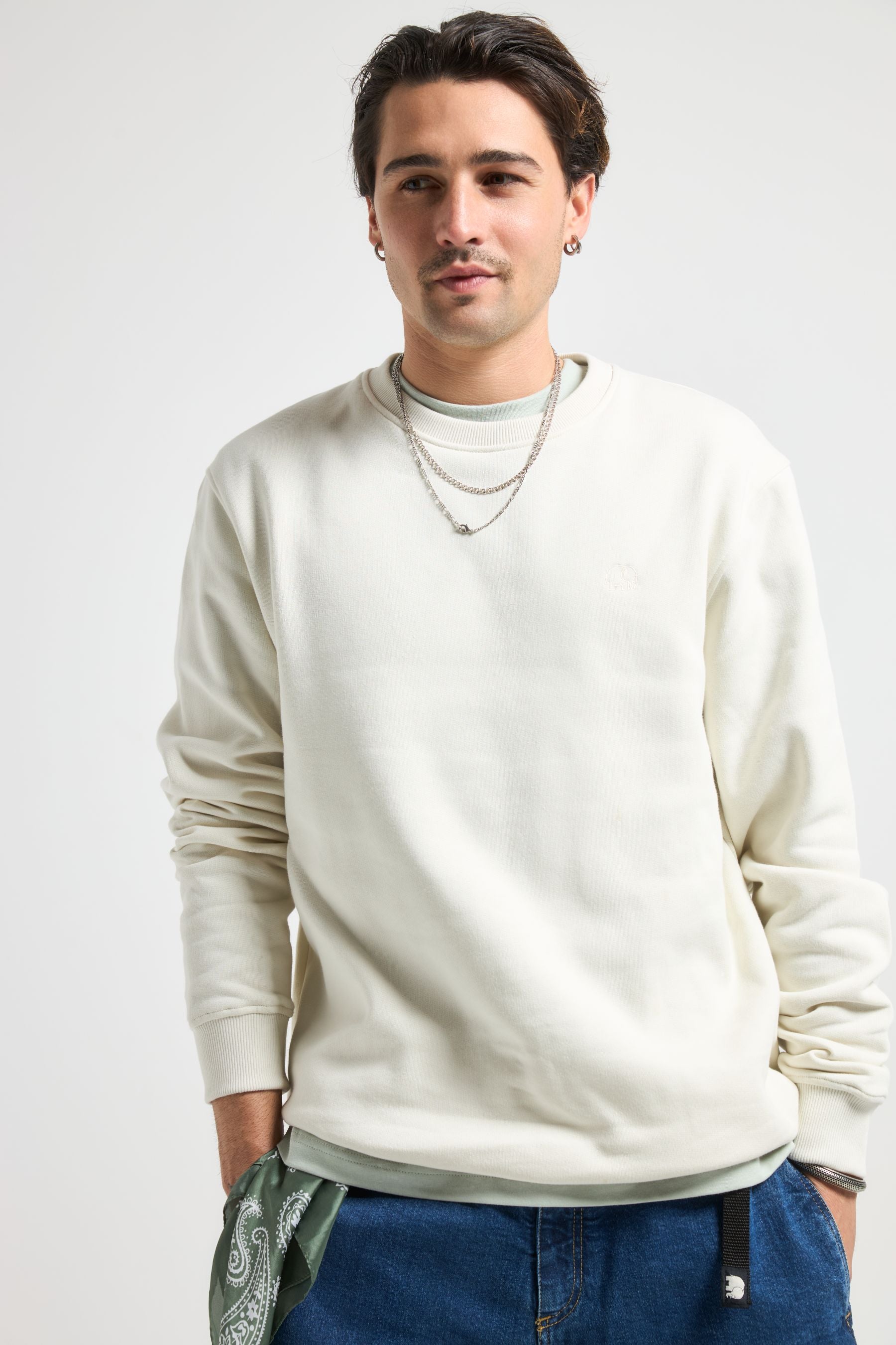 Image of Trendsplant mannen vegan Sweatshirt Essential Sea Glass Cream Gekleurd