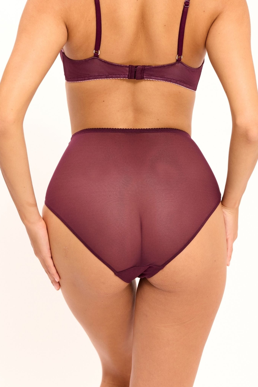 Understatement womens vegan Briefs Mesh Highwaist Cherry