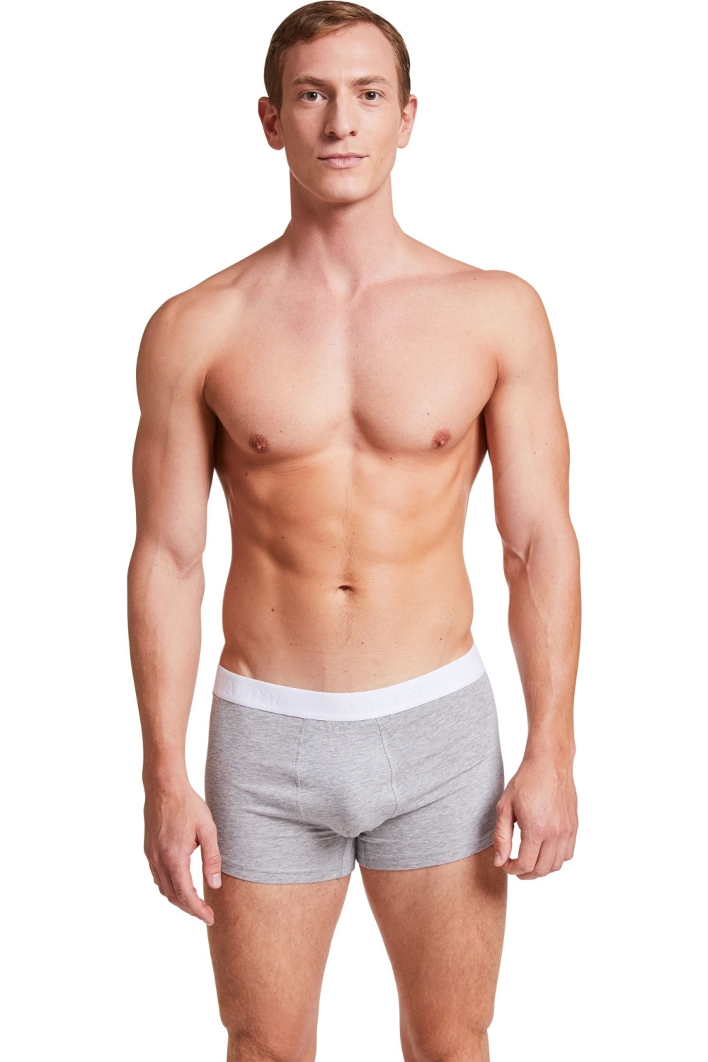 VATTER Boxer Shorts Tim Grey
