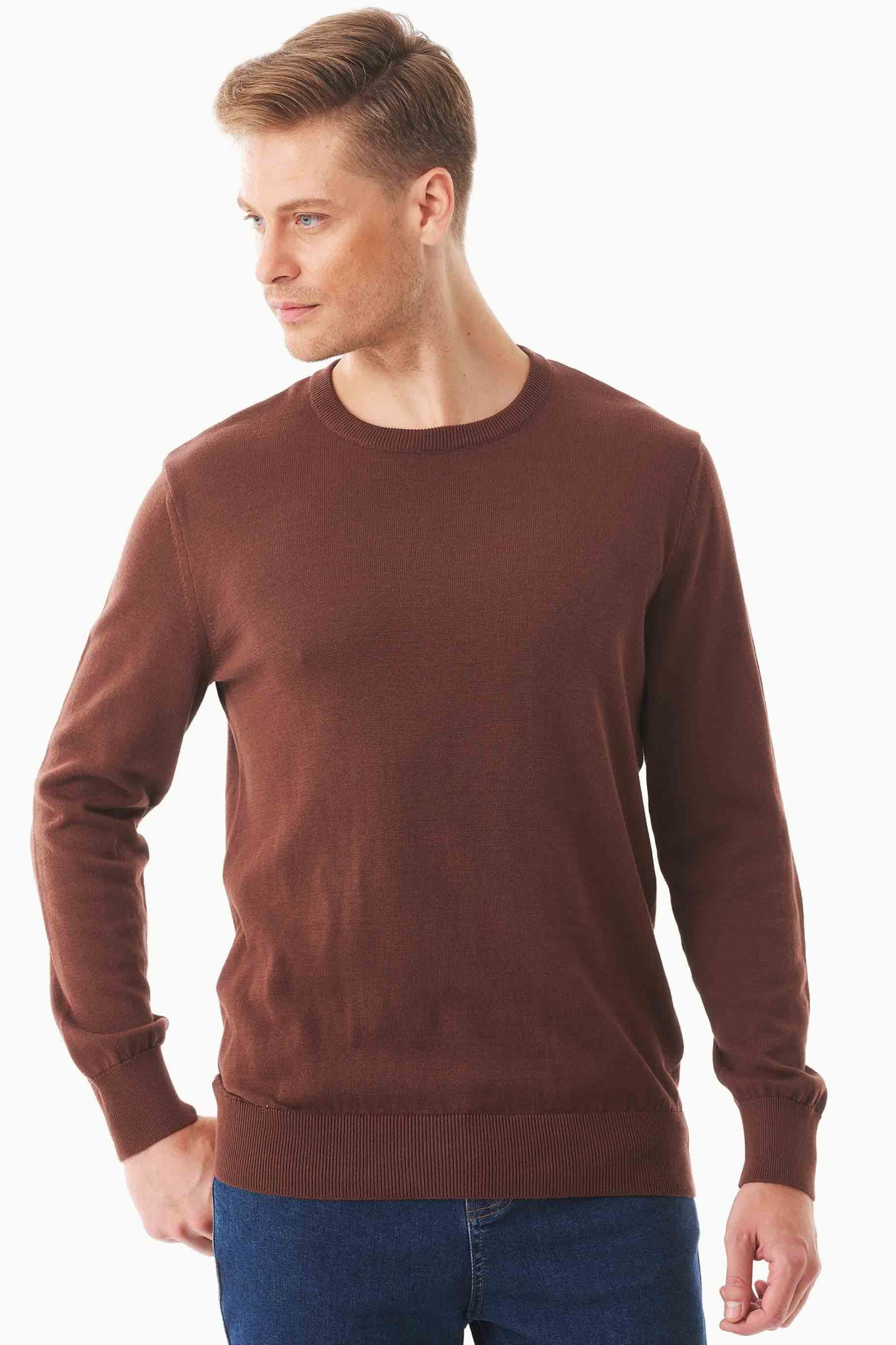ORGANICATION Herren vegan Bio-Baumwollpullover Braun