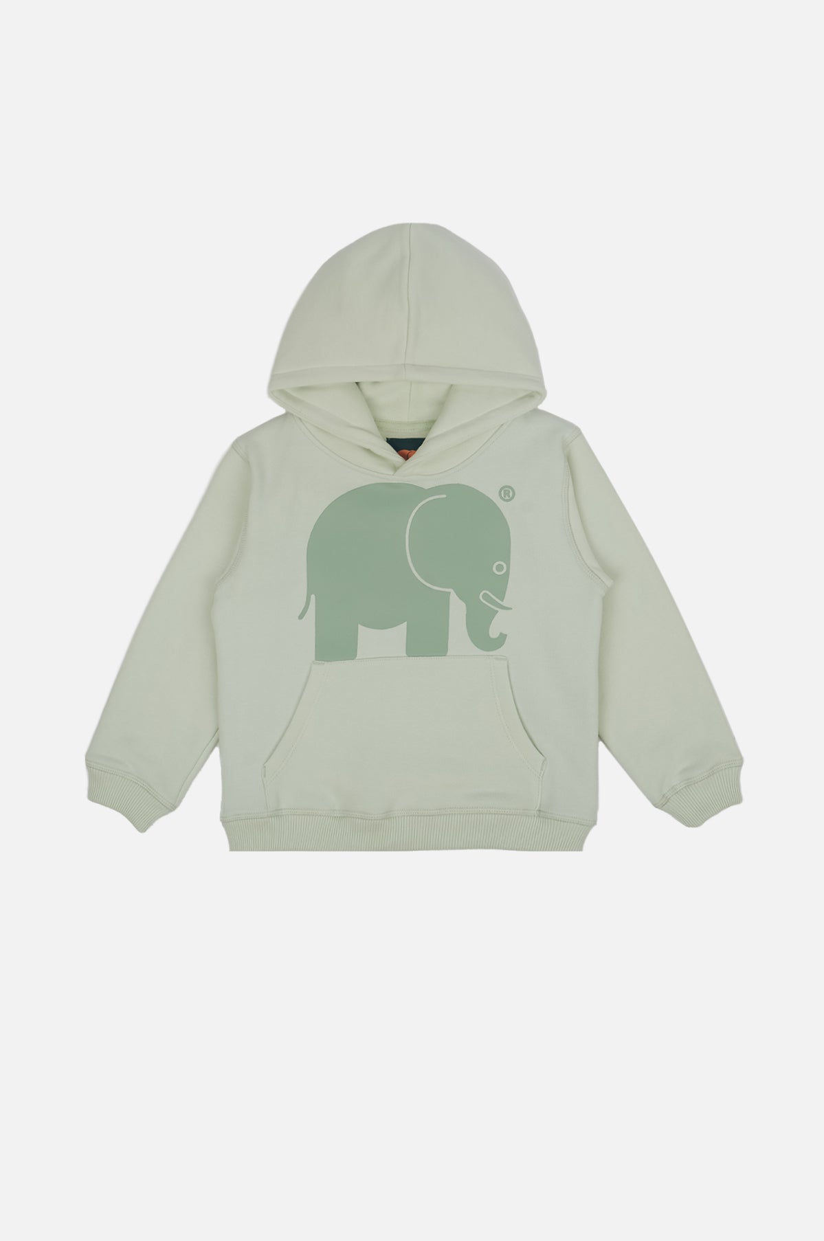 Image of Trendsplant unisex vegan Hoodie Klassiek Mintgroen