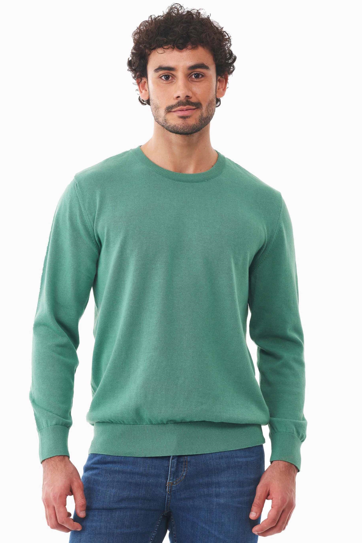 ORGANICATION Herren vegan Pullover GrÃ¼n