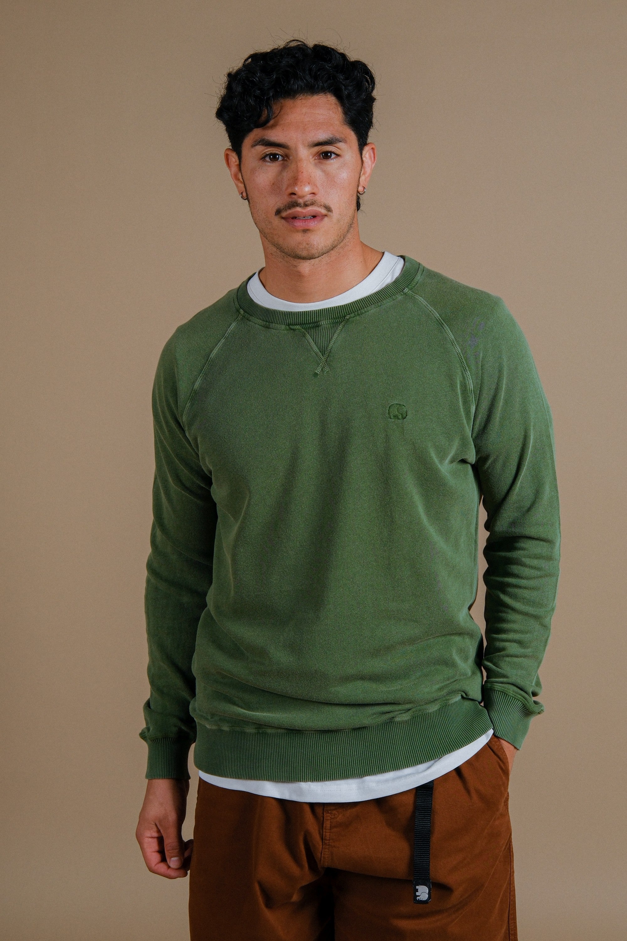 Image of Trendsplant mannen vegan Trui Essential Pigment Pinnas Groen