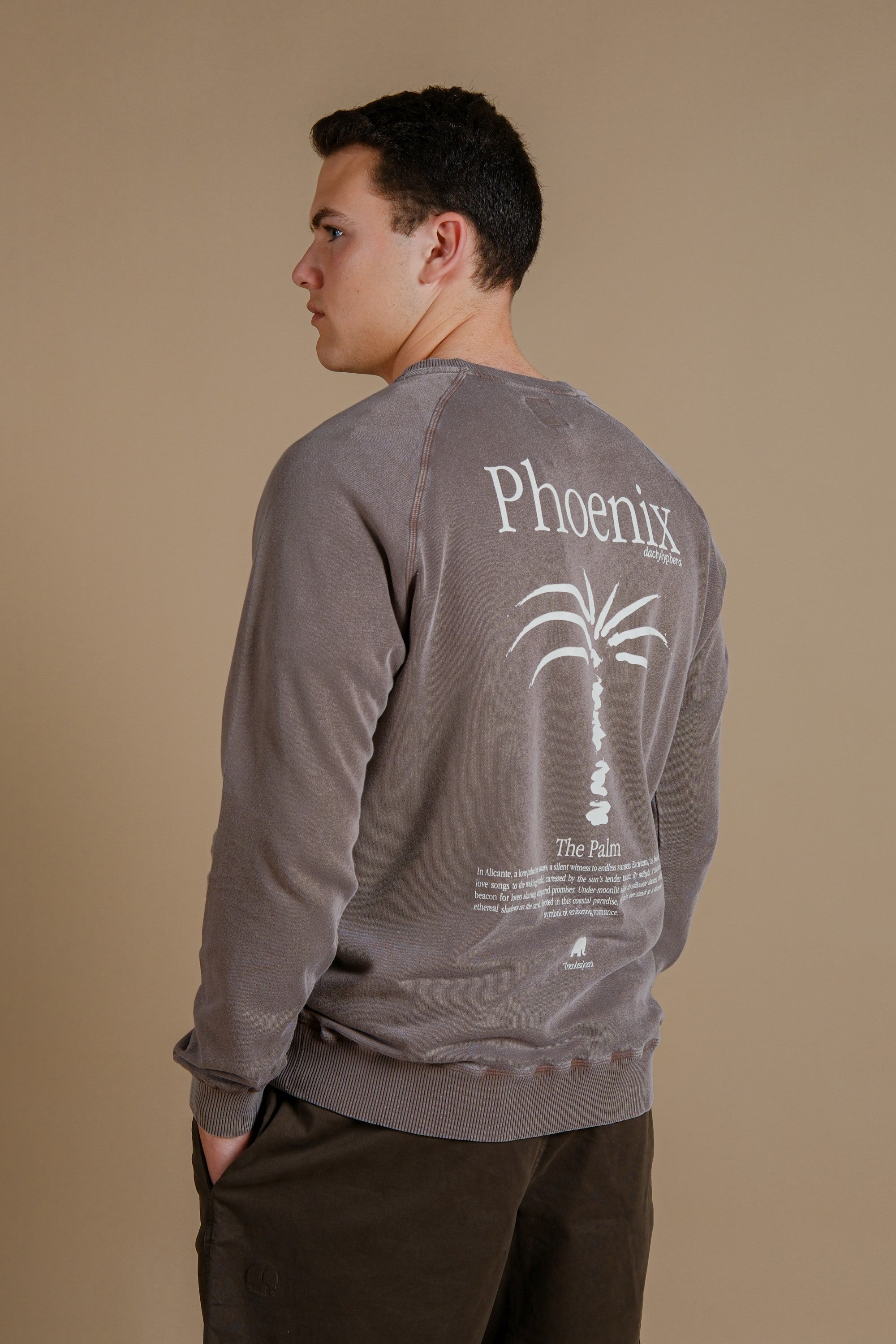 Image of Trendsplant mannen vegan Trui Washingtonia Pigment Desert Palm