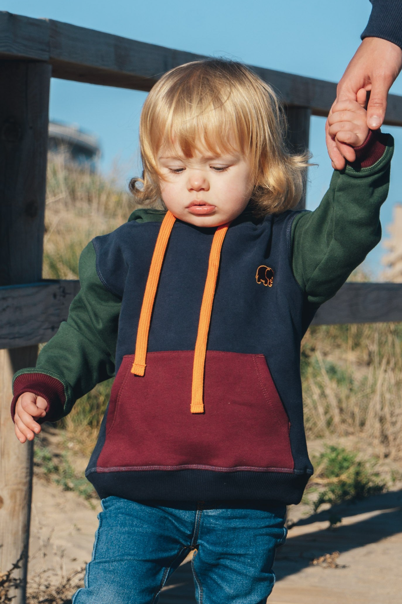Image of Trendsplant unisex vegan Hoodie Kleurblok Blauw, Groen & Rood