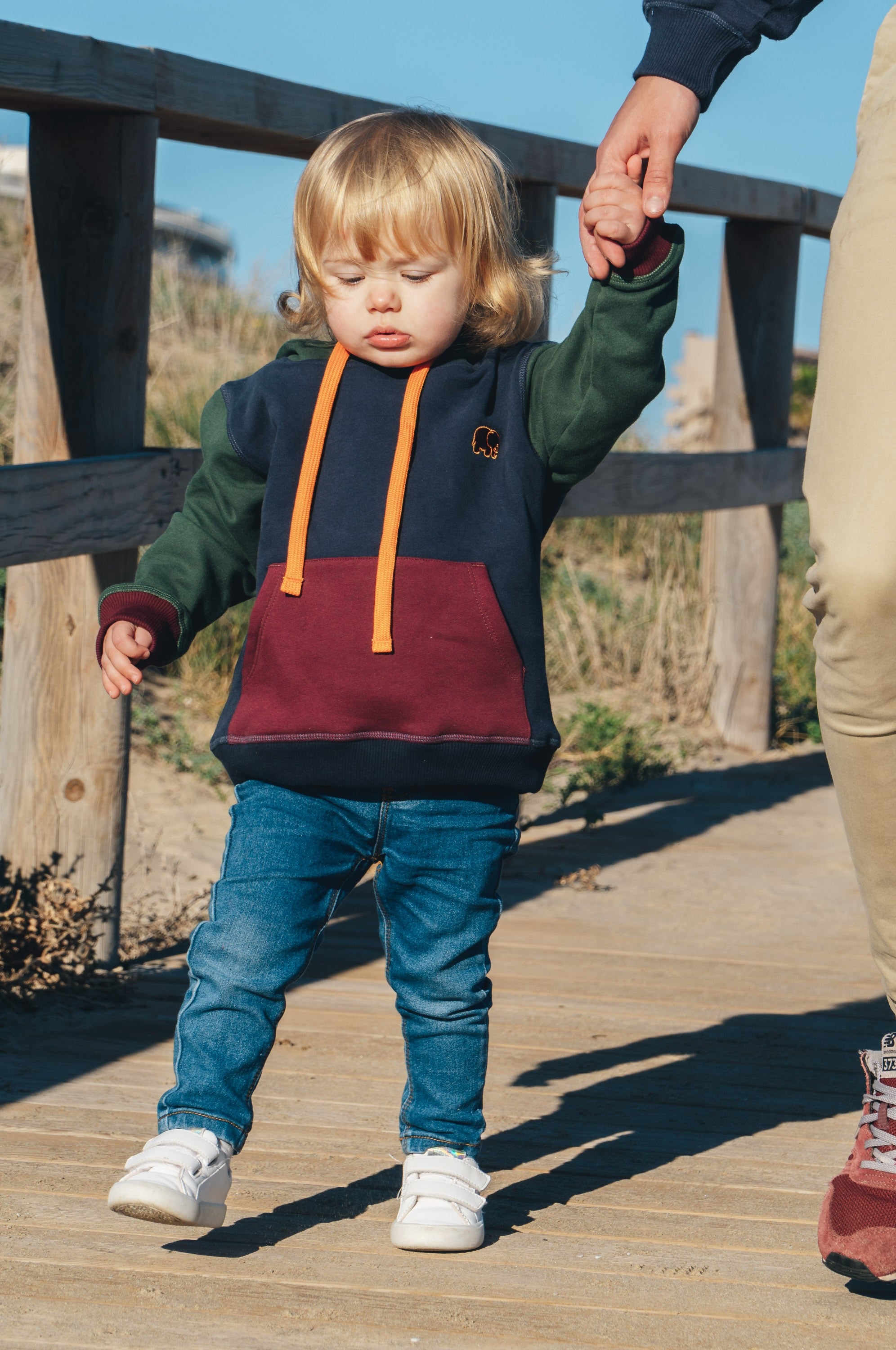 Trendsplant unisex vegan Hoodie Color Block Blue, Green & Red