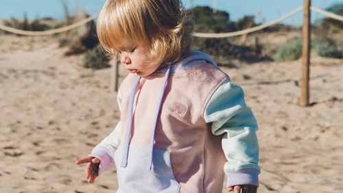 Trendsplant unisex vegan Hoodie Color Block Pale Pink, Purple & Green
