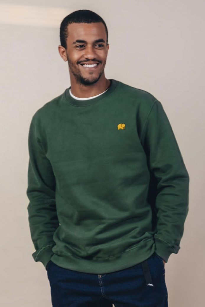 Image of Trendsplant mannen vegan Trui Essential Pastures Groen