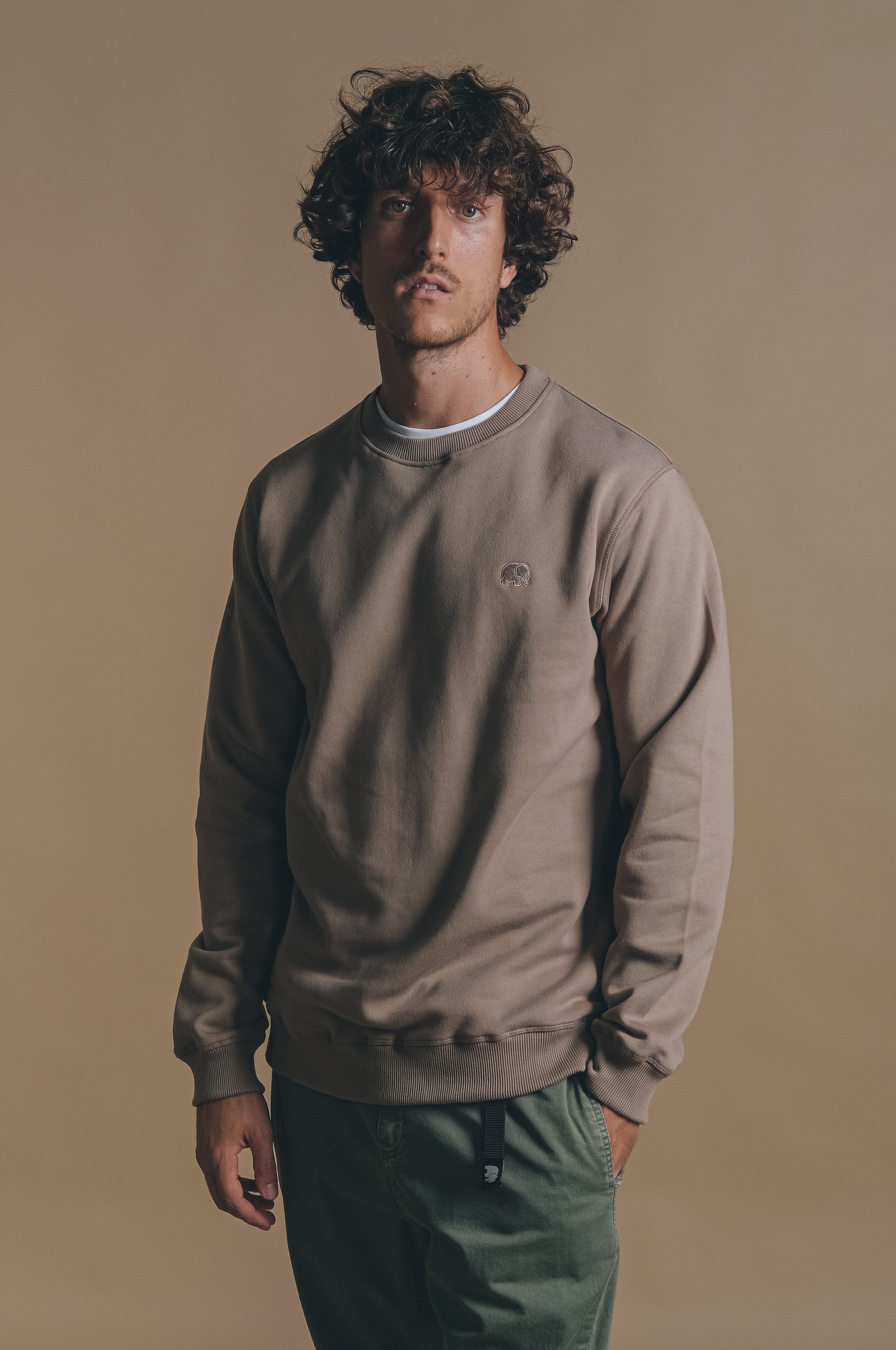 Trendsplant Herren vegan Sweatshirt Essential Desert Taupe Beige