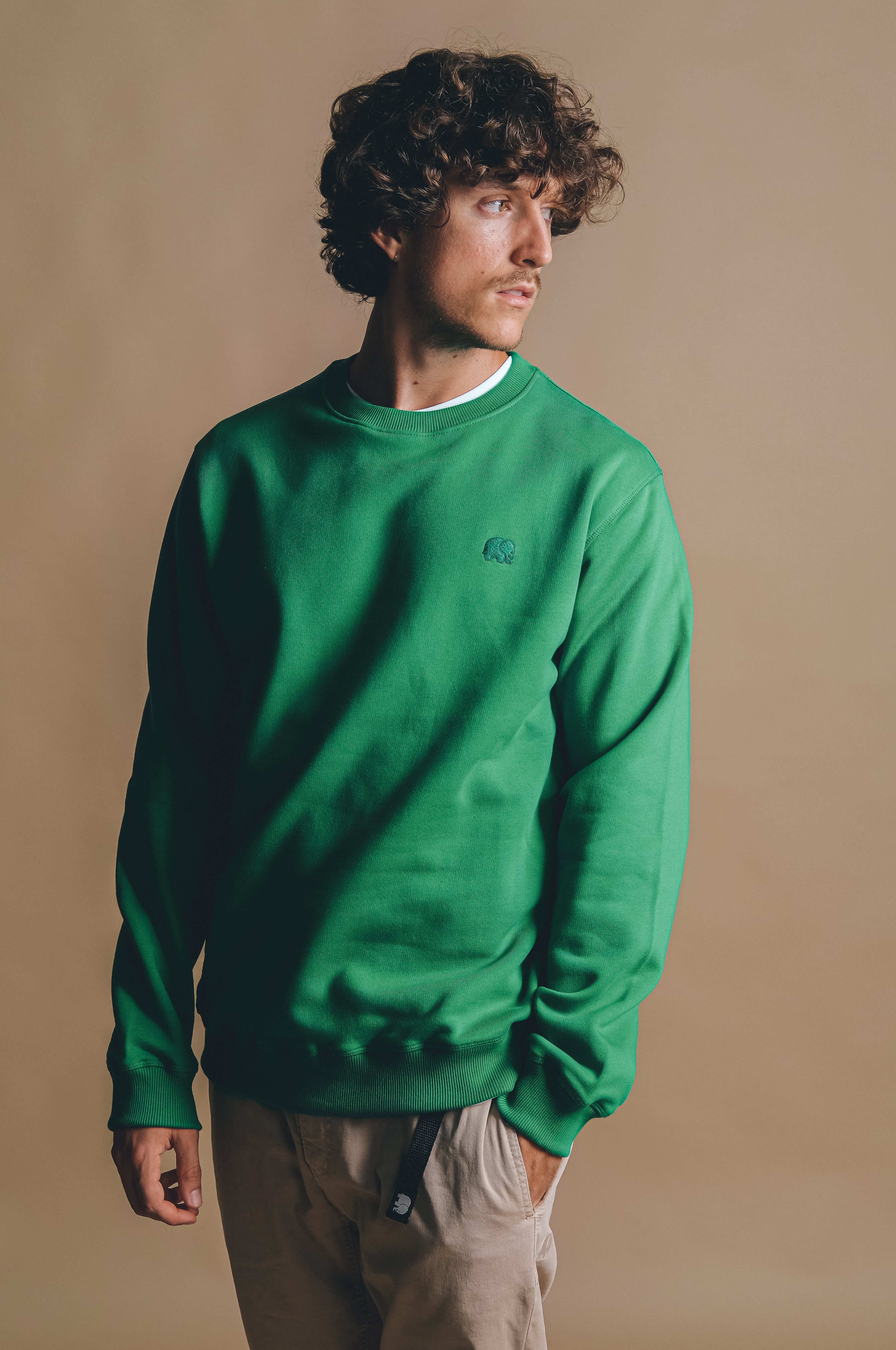 Trendsplant Herren vegan Sweatshirt Essential Bosphorus Grün