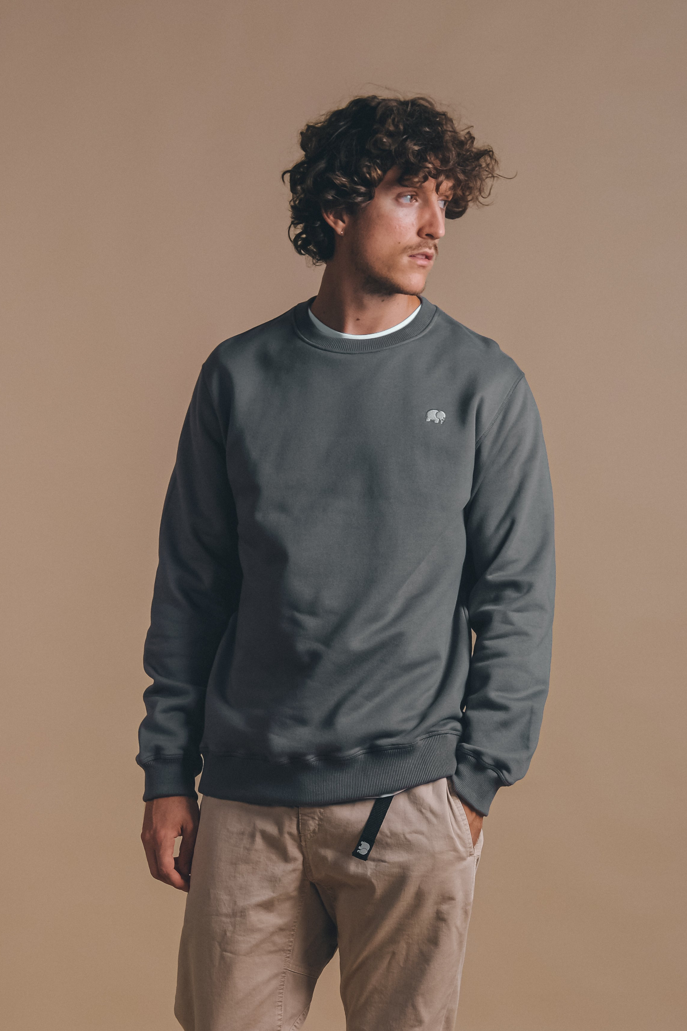 Trendsplant Herren vegan Sweatshirt Essential Thunderstorm Dunkelgrau