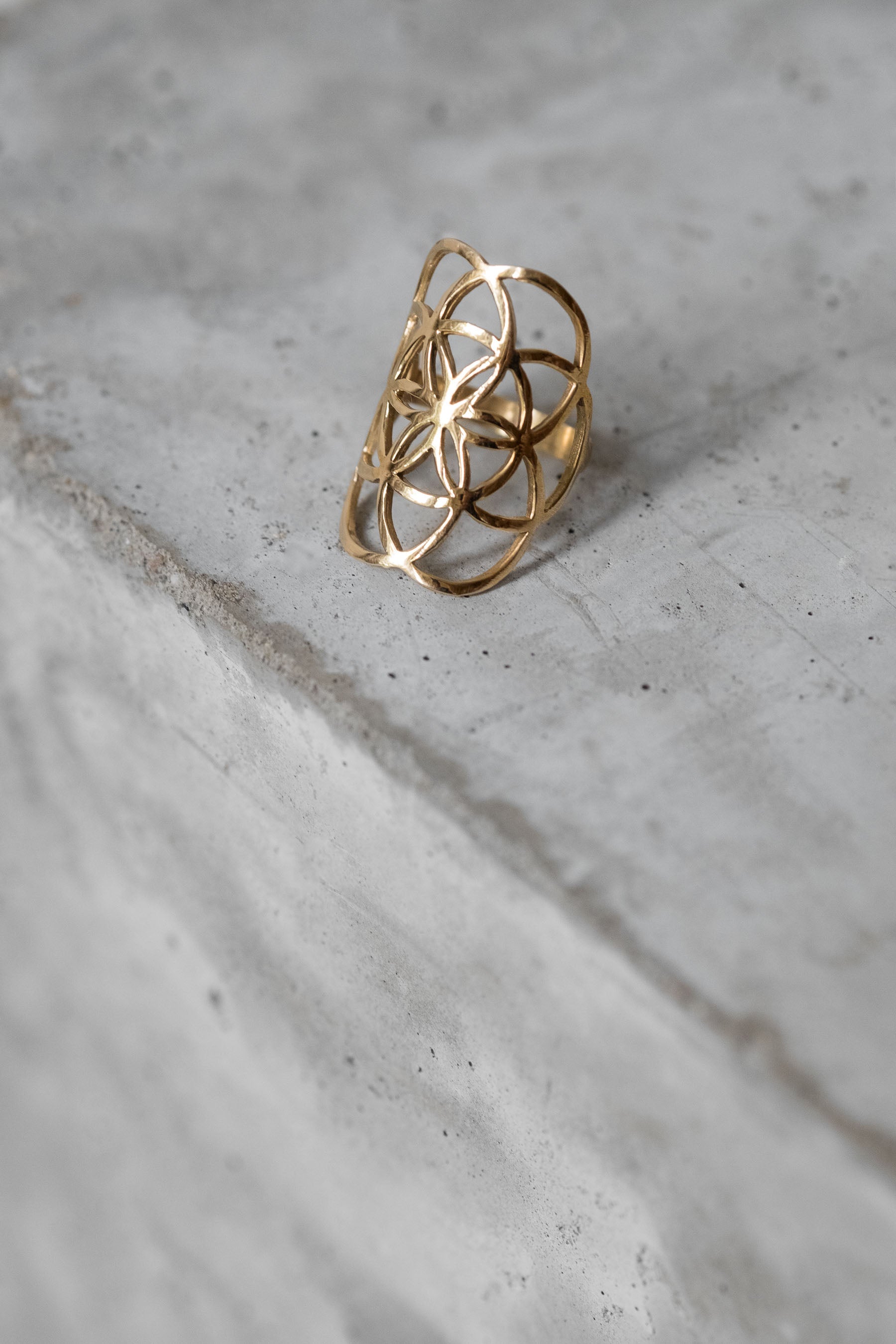 Jyoti Fair Works Ring Raichur Brass