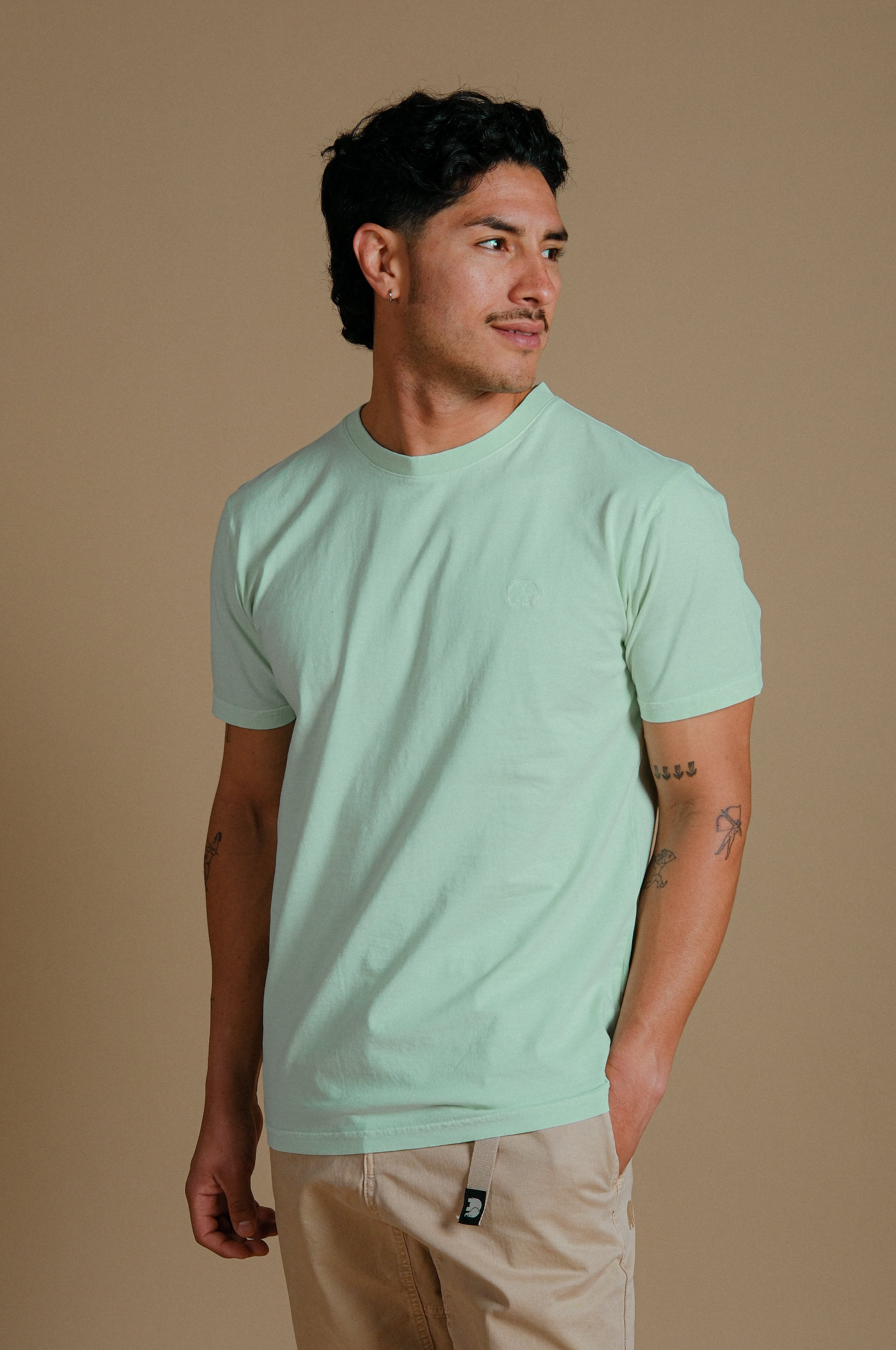 Trendsplant men vegan T-Shirt Essential Pigment Dusty Aqua
