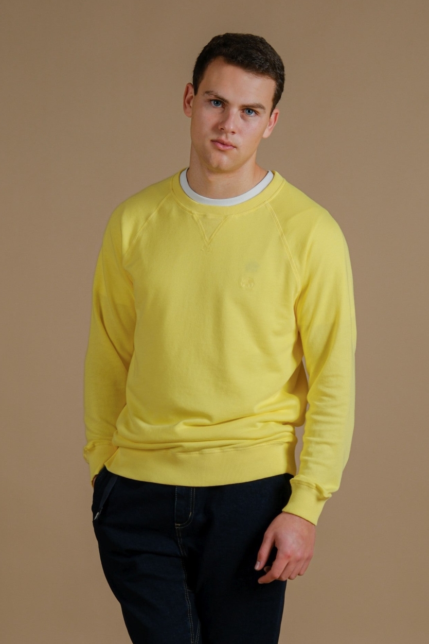 Image of Trendsplant mannen vegan Trui Essential Pigment Datum Geel