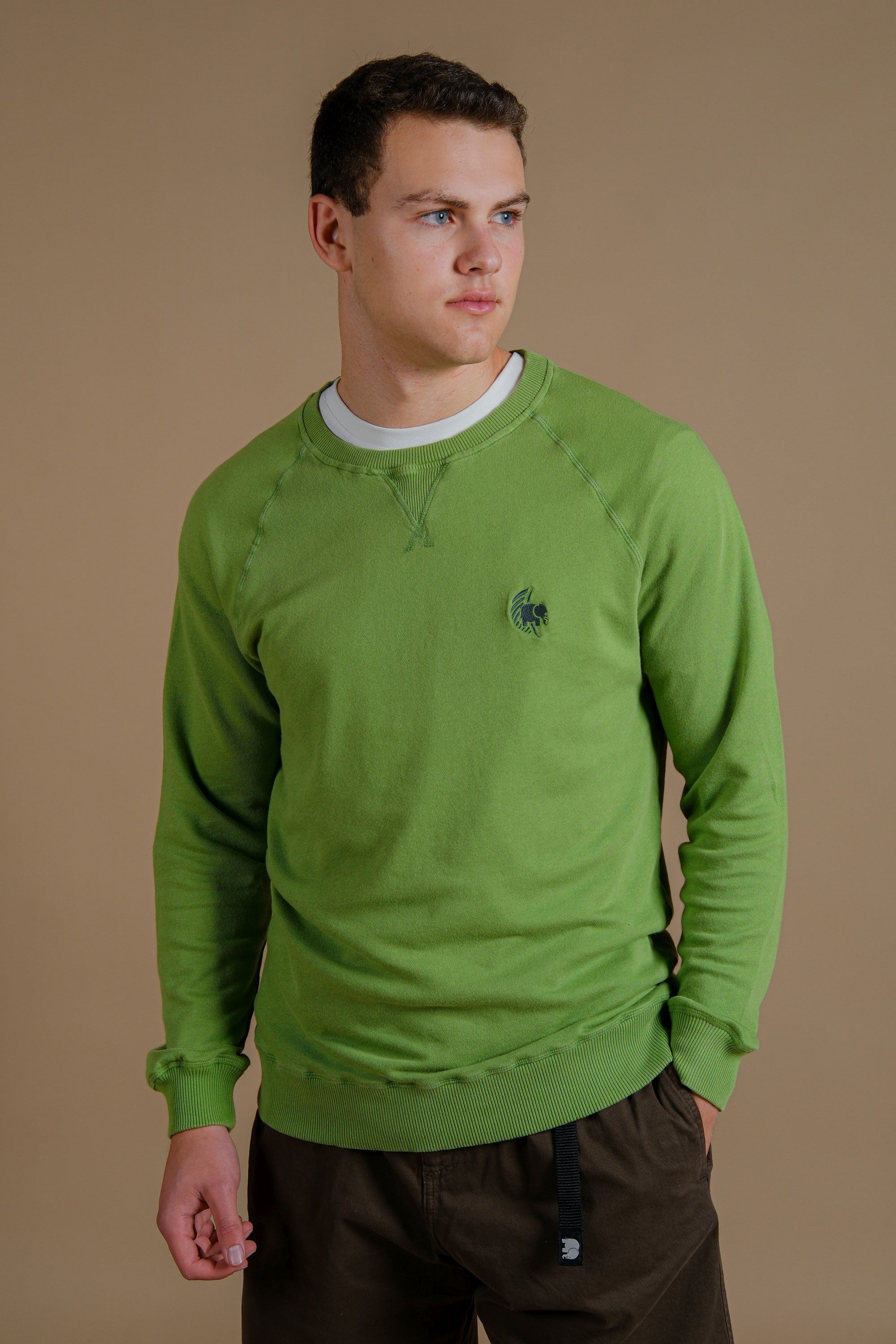 99141 - Herren vegan Pullover Washingtonia Pigment Raquis GrÃ¼n