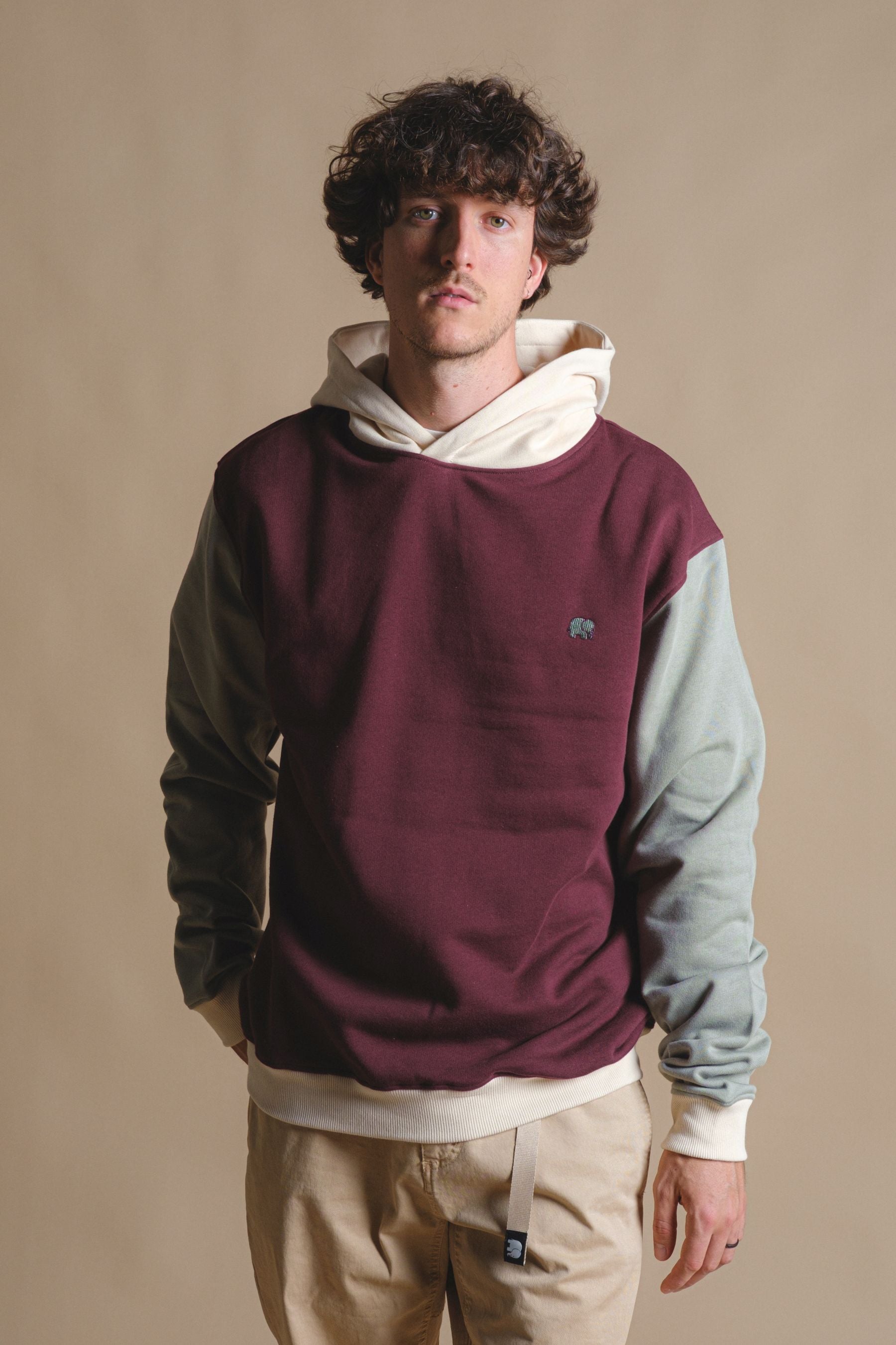 Image of Trendsplant mannen vegan Hoodie Color Block Nightfall Ruby