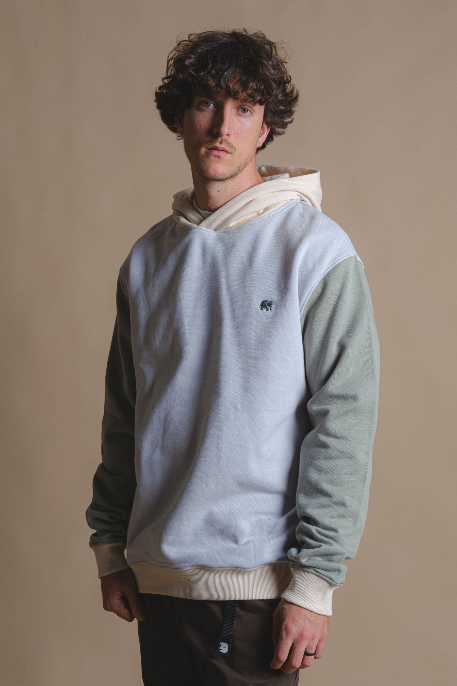 Image of Trendsplant mannen vegan Hoodie Color Block Steel Haze Grijs
