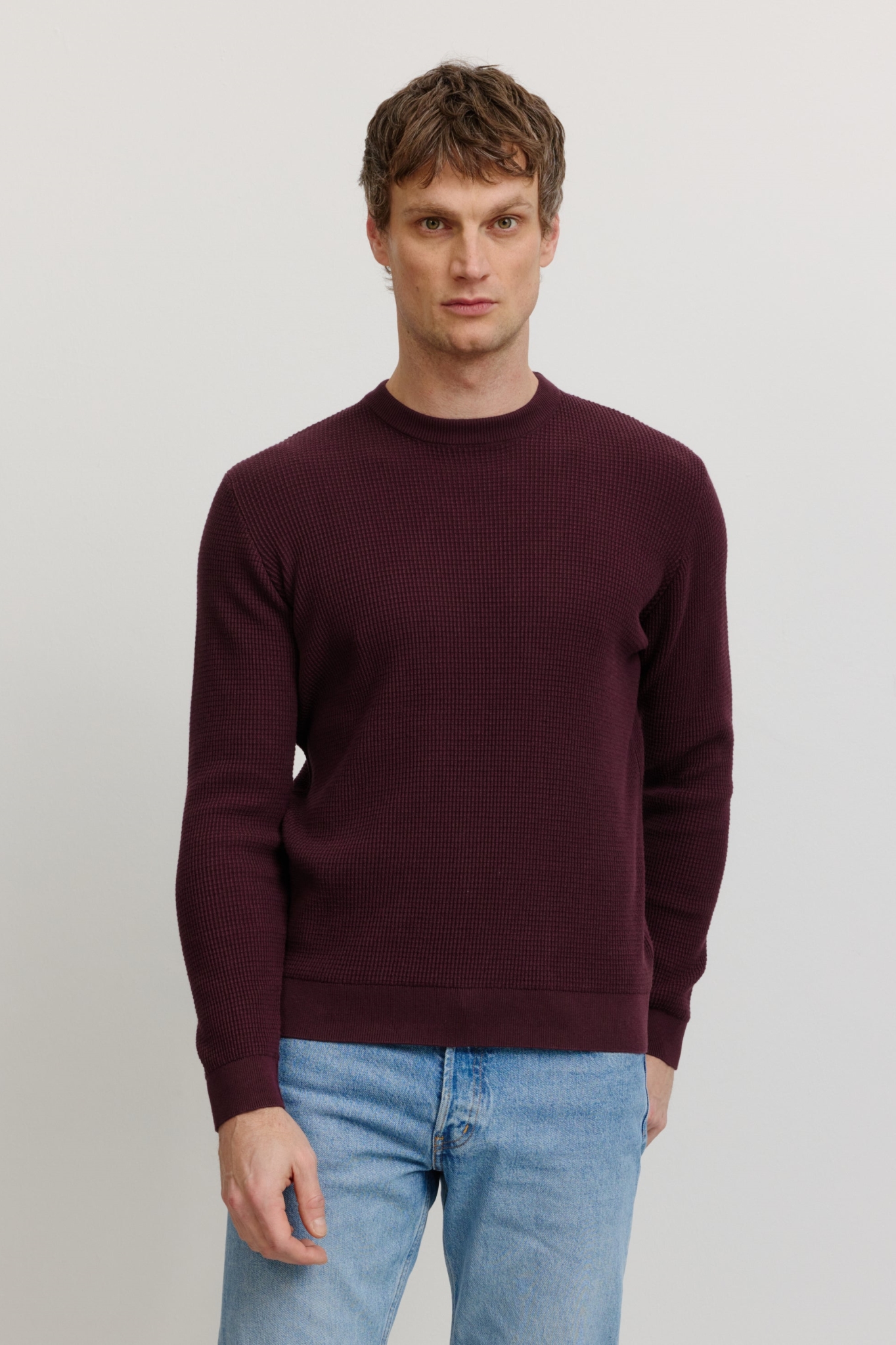 Recolution Herren vegan Pullover Lupin Dunkelviolett