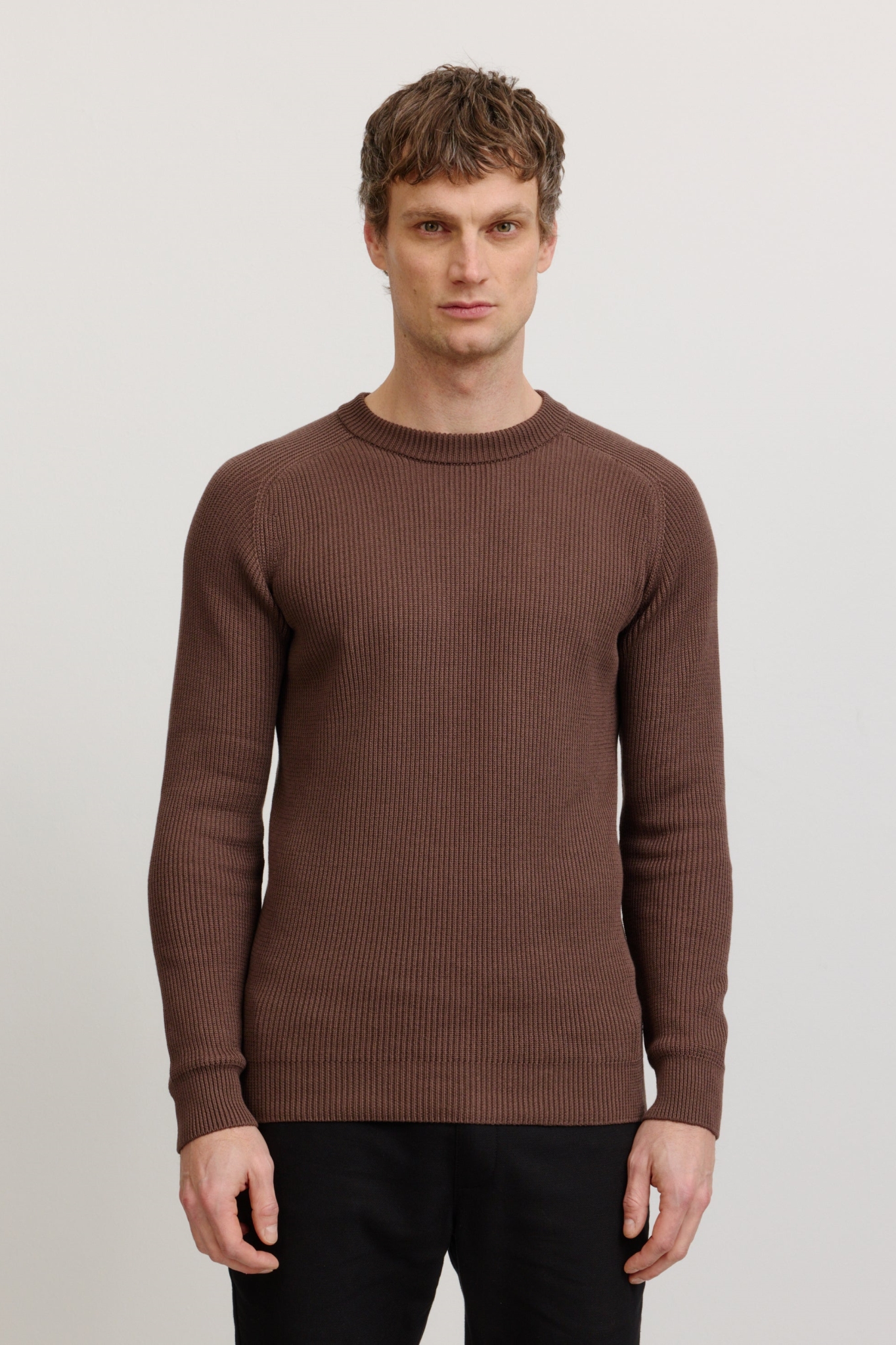 Recolution Herren vegan Pullover Salvia Taupe