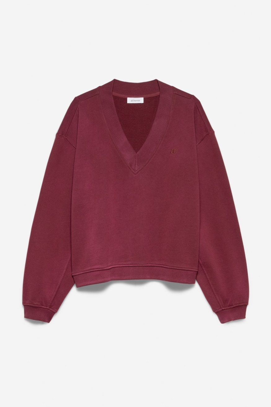 Image of Alchemist dames vegan Trui Gaia Berry