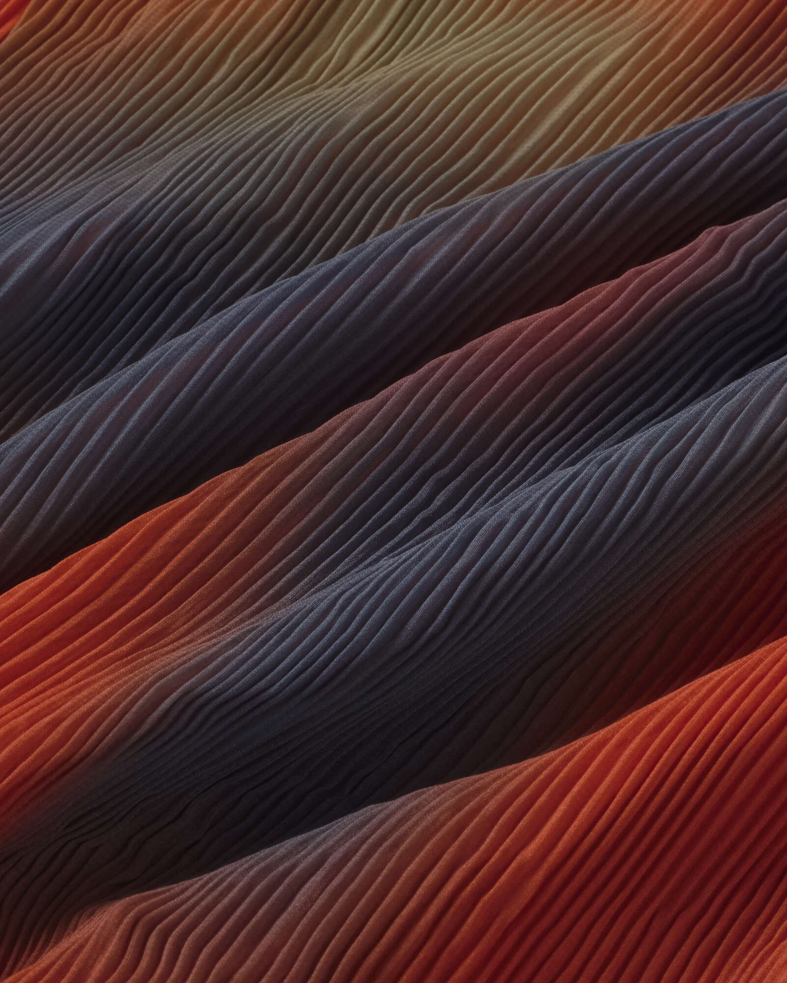 Thinking MU Midi-Jurk Miriam Met Plooien En Rode Bloemen