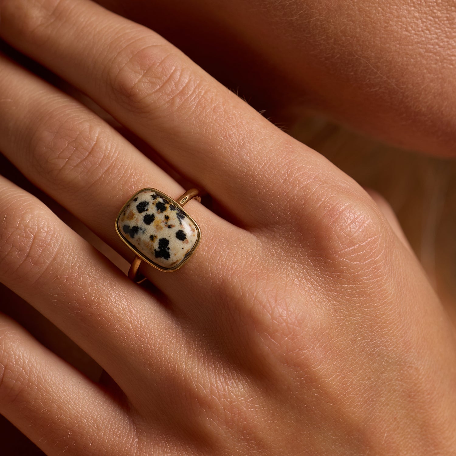 Amadeus Ring Arizona Jasper Cream Black