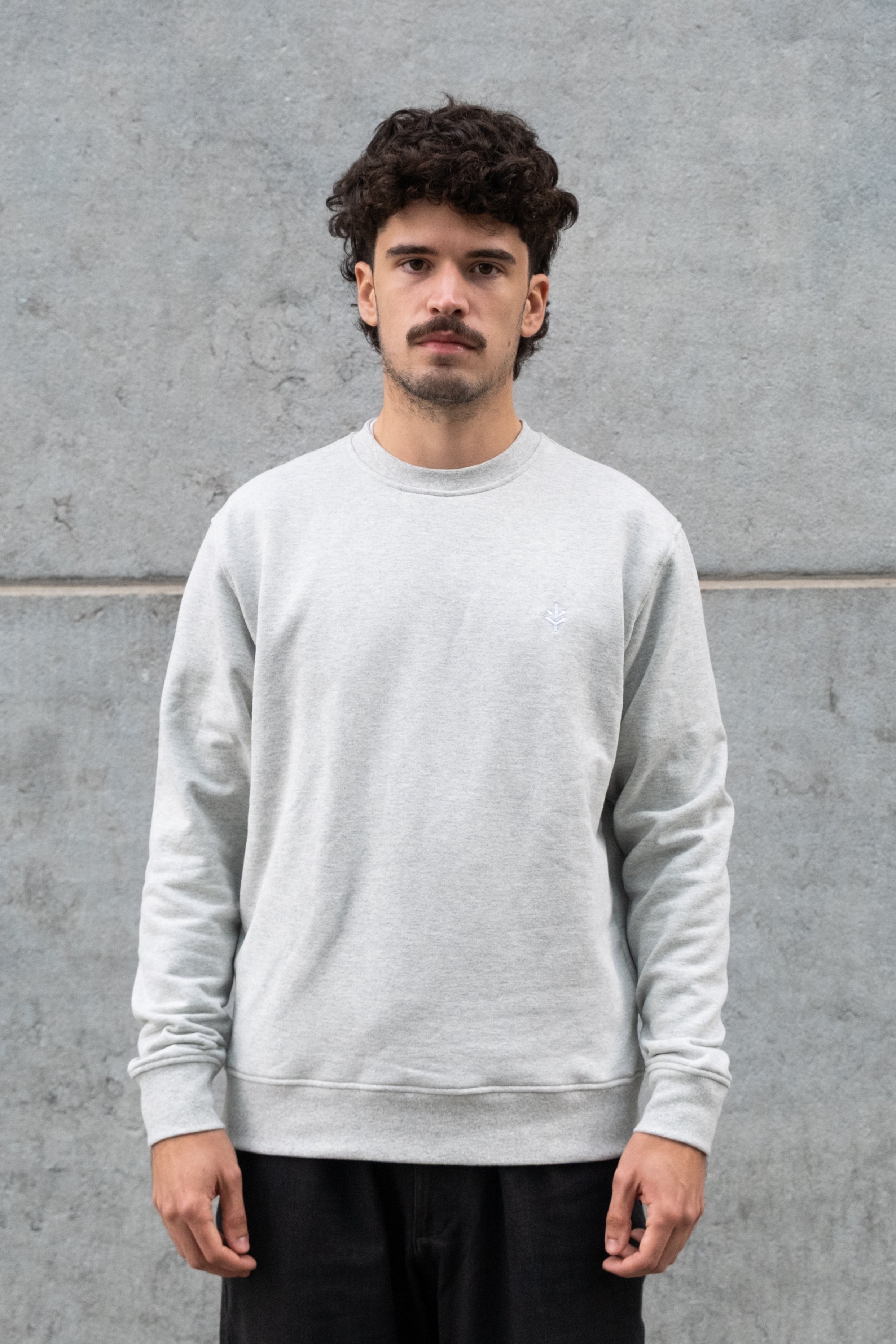 Lucid Collective Herren vegan Sweatshirt Just Heather Grey