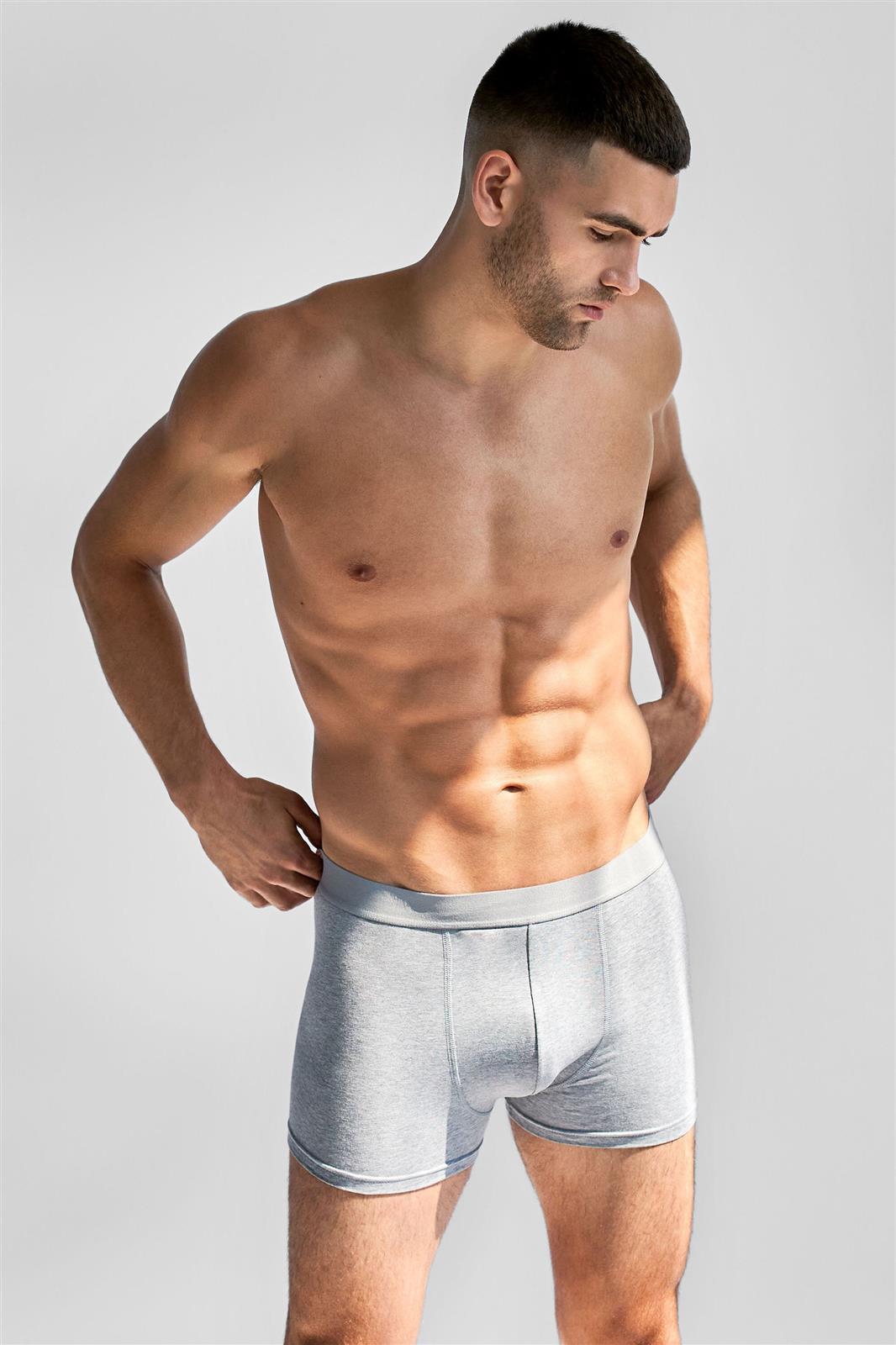 Bread & Boxers men vegan Multipack 3x Boxer Briefs Grey Melange
