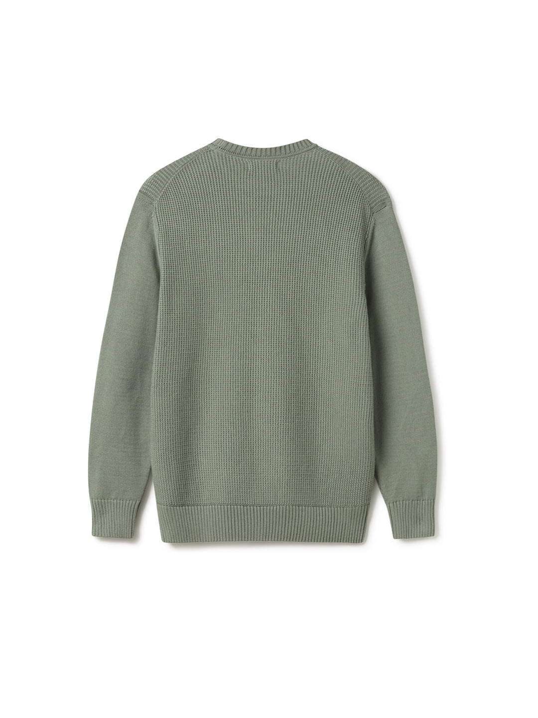 TWOTHIRDS men vegan Sweater Makuaku Washed Green