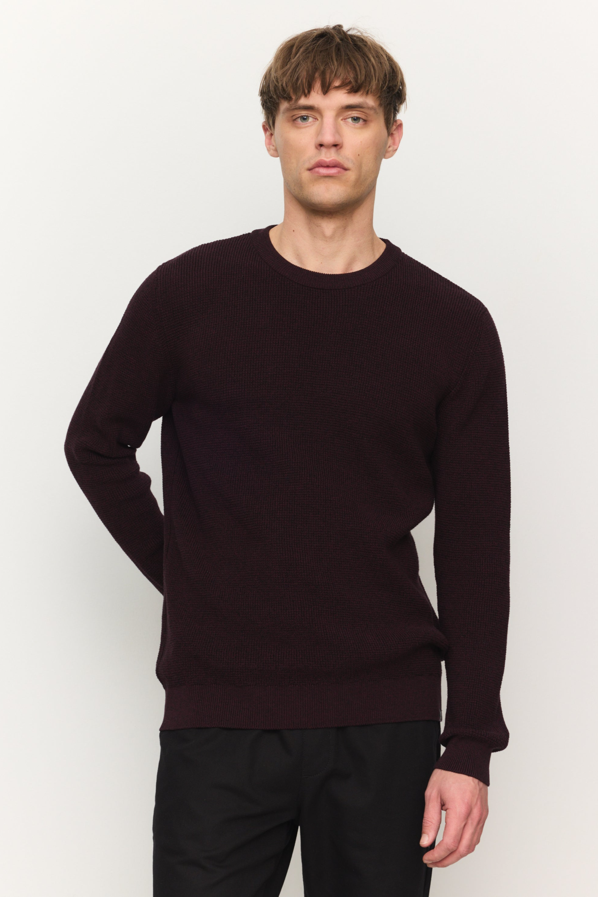 Recolution Herren vegan Pullover Bacopa Dark Plum
