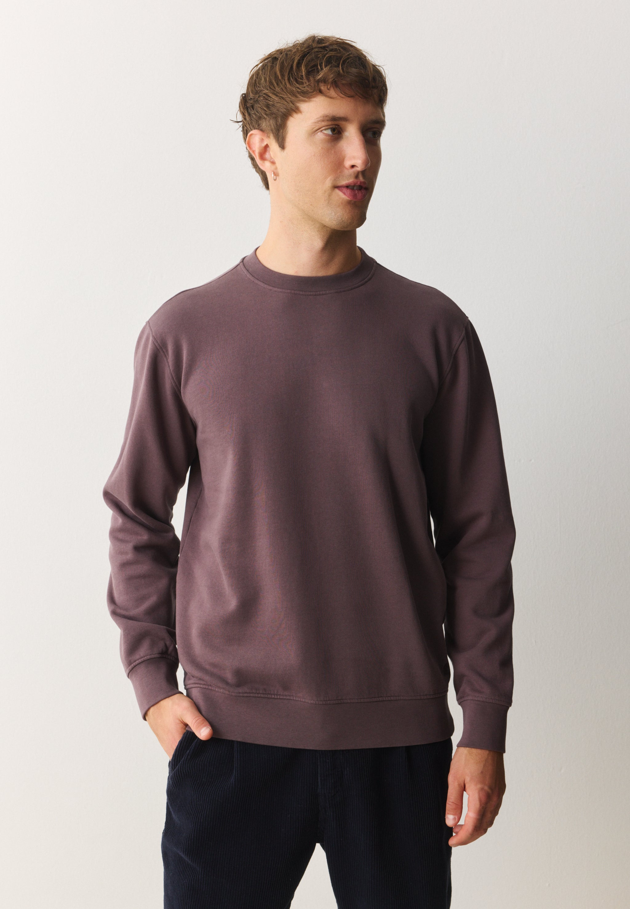 Recolution men vegan Sweatshirt Tamarillo Dark Grape