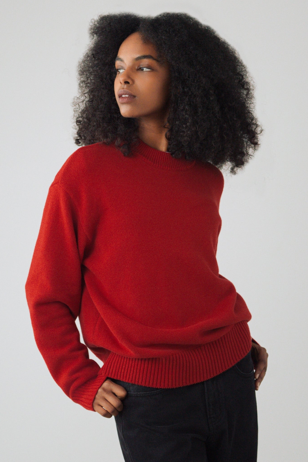 Honest Basics Damen vegan Pullover Mit Rundhalsausschnitt Tomatenrot