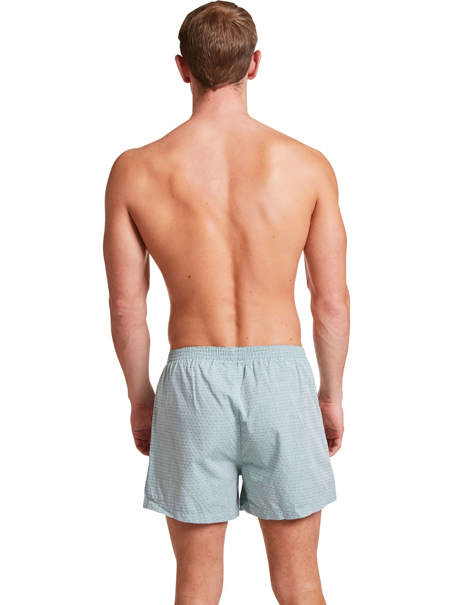 VATTER Boxer Shorts Larry Green Dobby