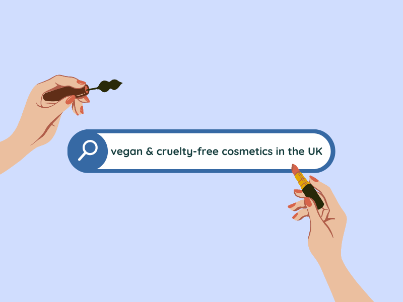 vegan beauty search on Google