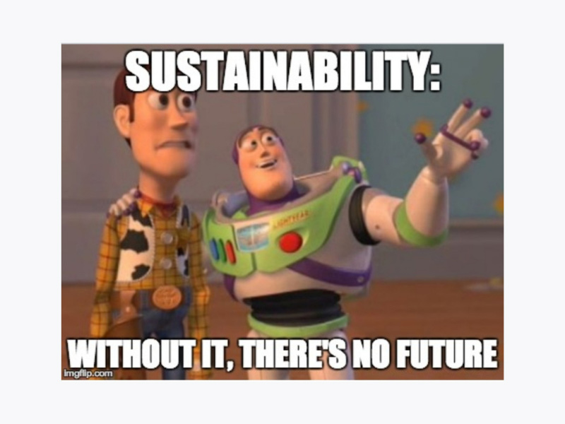 A meme from Toy Story (1995) that reads 'Sustainability: without it, there's no future.