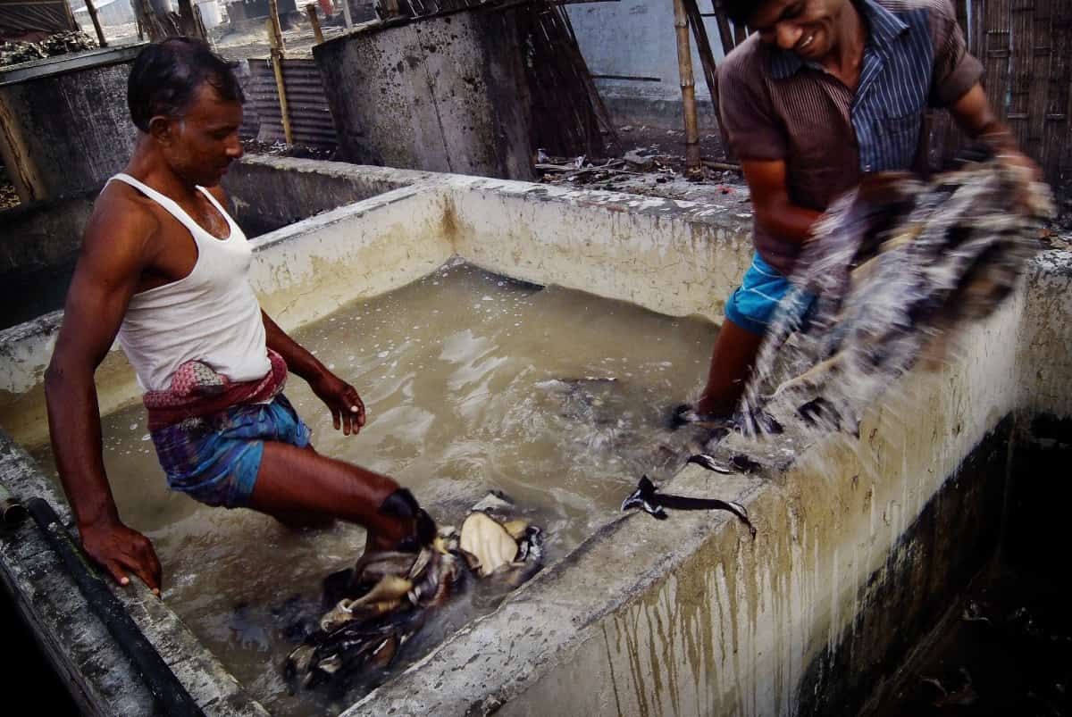 Tannery Workers in Tanning Pit