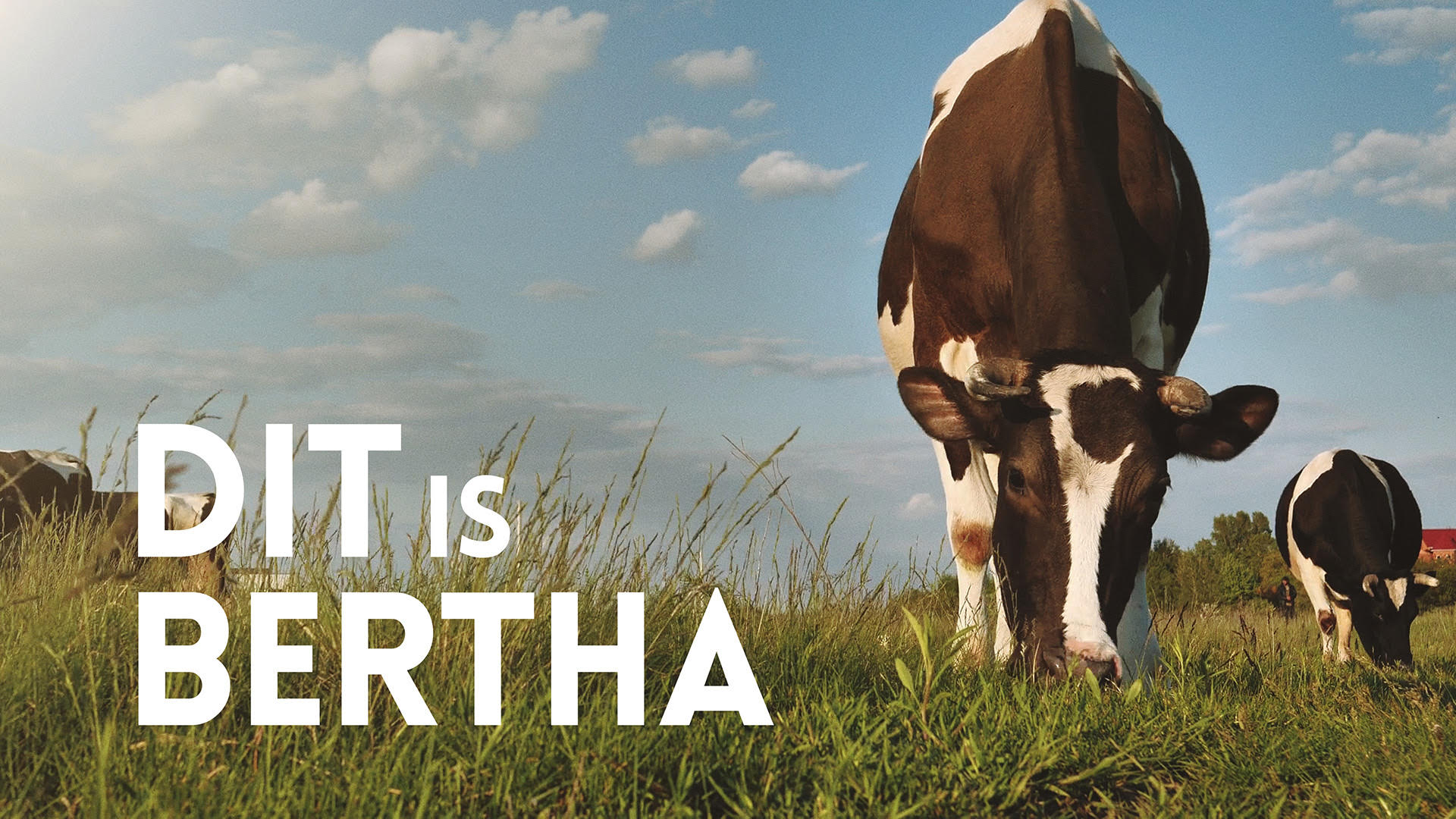 Shop vegan leer, niet dat van Bertha