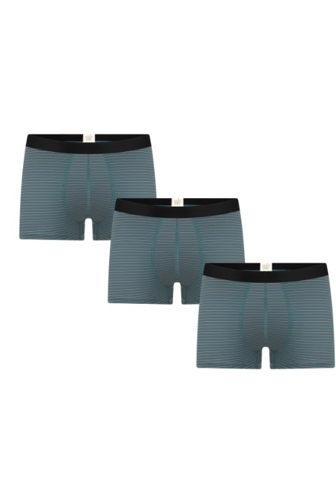 Albero Natur men vegan Multipack 3x Trunk Shorts Fir Green/ Tabasco Red