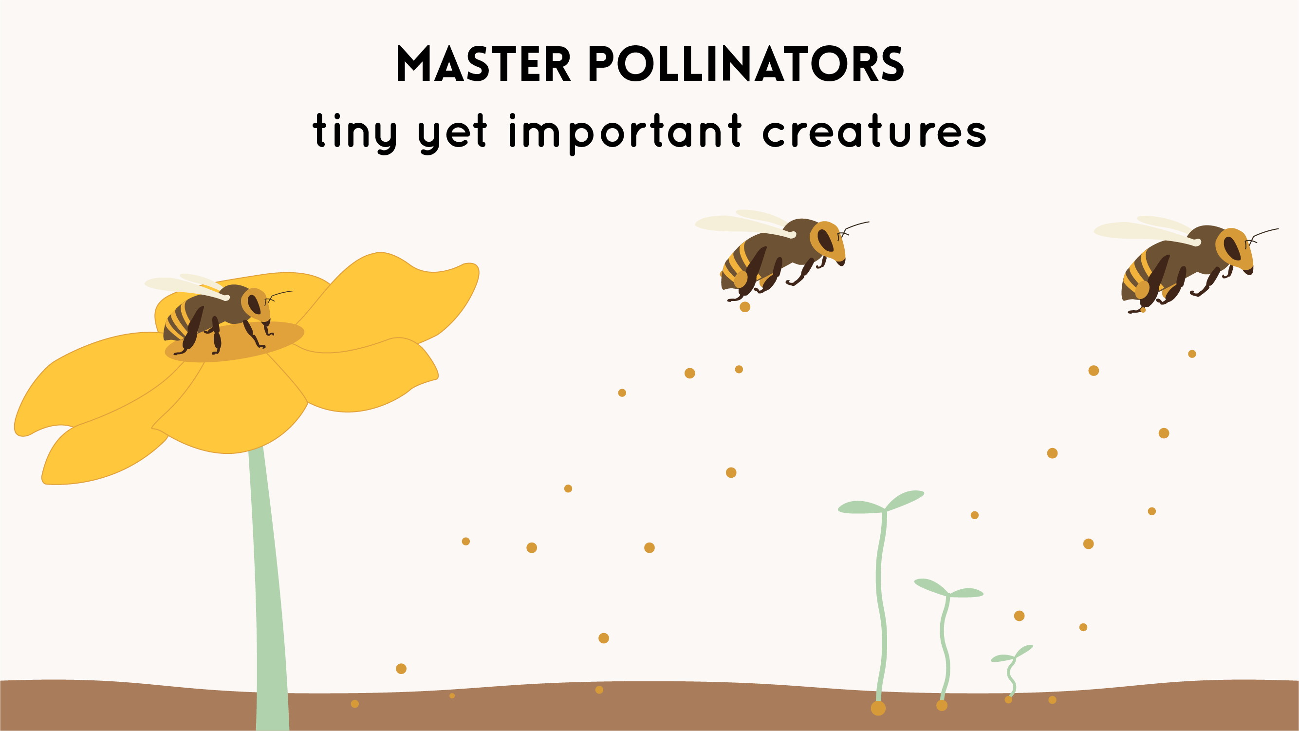 bees pollinators pollinate plants foundation of our food chain