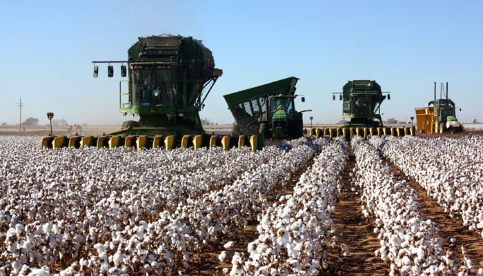 combine-harvester_cotton