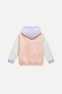 Trendsplant Hoodie Color Block Pale Pink, Purple & Green