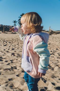 Trendsplant Hoodie Color Block Pale Pink, Purple & Green