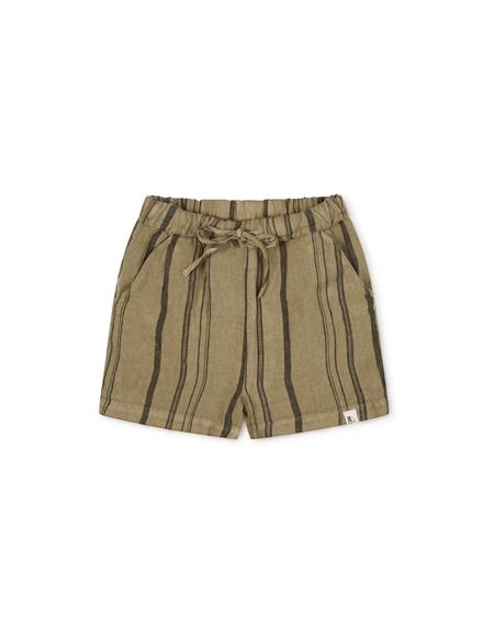Shorts Arkie Clay Striped 1